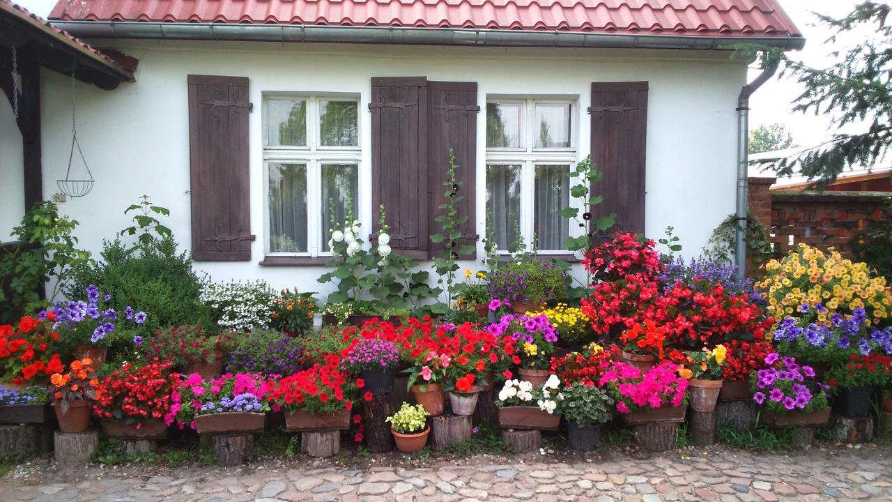 Zajazd Bonanza Jedrzychowice  Buitenkant foto